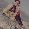 sarah amer