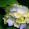 MY S