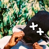 Yahaya Othman
