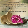 Στέλλα Σαπ