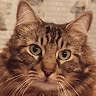 Gisele  