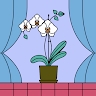 Orquidea Garcia