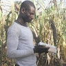 Akan-uge charles