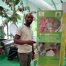 keudogo moise