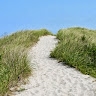 SeasideDelights Gray