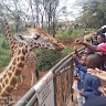 yusuf wachira