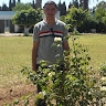 Lassoued Mohamed