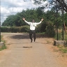 Maxwell Emmanuel Karudzi