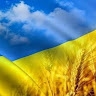 ВОКМС Верхівцевської міської ради