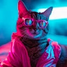 Developer Tijan