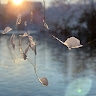 Christine Page
