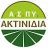 ΑΓΡΟΤΙΚΟΣ ΣΥΝΕΤΑΙΡΙΣΜΟΣ ΠΥΡΓΕΤΟΥ O.Π. ΑΚΤΙΝΙΔΙΟΥ
