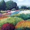 Joseph Schloss