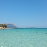 verde marino