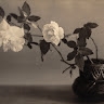Margaret Rasor