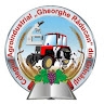 Colegiul Grinăuți