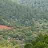 Hajirah Naigaga