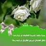 Raghda Sroor