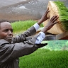Dr Peter Chege Gichuku