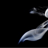 inquiry paranormal
