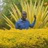 julius oola