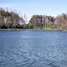 Сергій Дрогуль