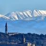 Urbano Barelli