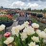 Наталія Тютюнник