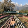 Ira Sharma