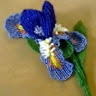 Ірина Максимів