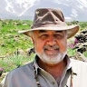 Morad  