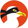 Goéland Masqué