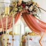 TISIAH Events