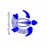 phygital aegina