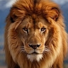 Jasminka Šuplika