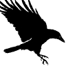 Crow Talks