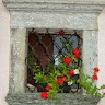 Marjan Miklavčič