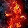 Flame  