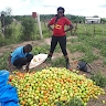 MUTABAZI ANNA