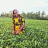 Bancy Mabuti