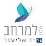משה כהן
