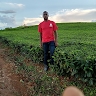 David Tandiri