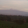 Walter Akello