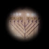 מנחם זאב וינגורט  