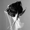 IAM_BlackRose BLQ