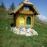 M Pušnik
