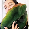Hélène Picard