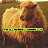 YMP RADIO