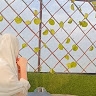Anam sarha