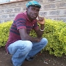 githae irungu